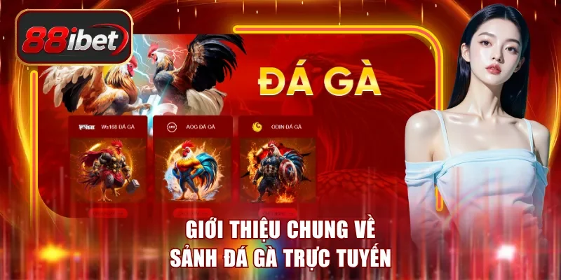 Giới thiệu chung về sảnh đá gà trực tuyến