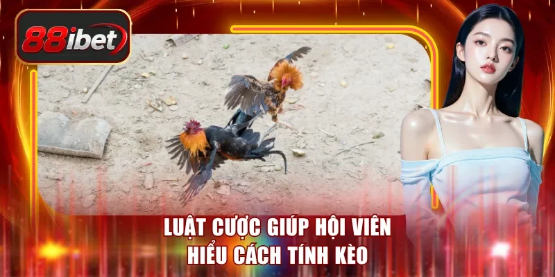 Luật cược giúp hội viên hiểu cách tính kèo